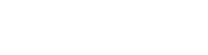 Auto Repair Pros Black Hawk logo